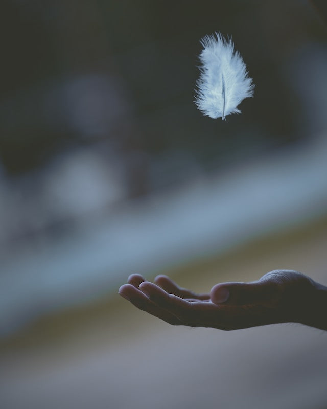 A White Feather Descending into Someone's Palm